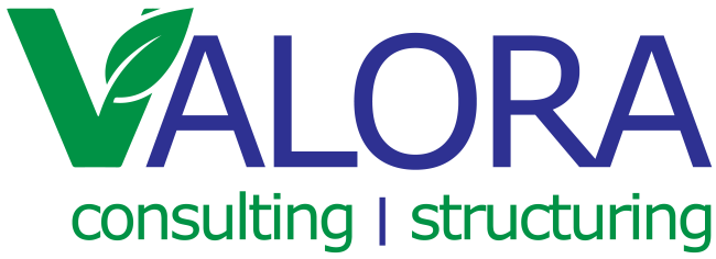 Valora Consulting